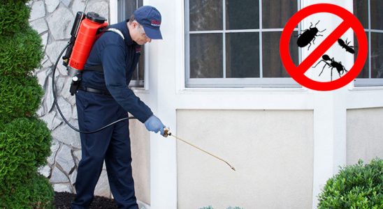 Karabük Bit İlaçlama böcek ilaçlama ve haşere kontrolü — ilaclama-tr.com